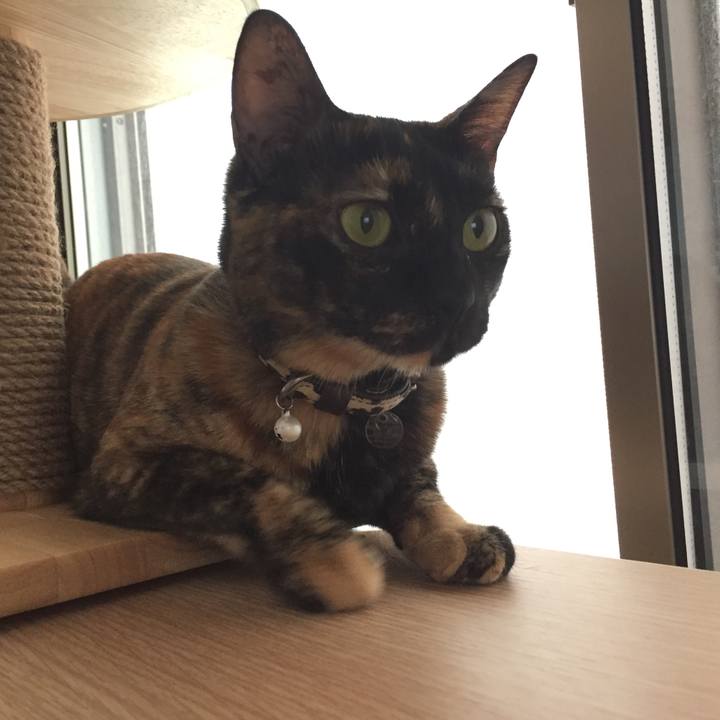 A5a23fa9 23ca 45b1 b412 bb94e56993e6