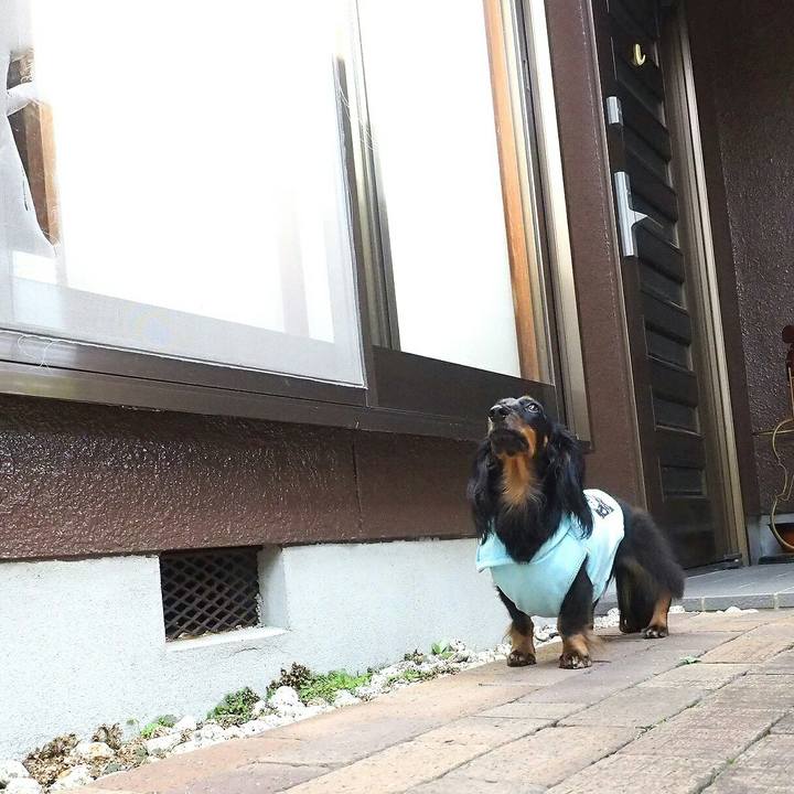 A5a25601 136f 476c afc5 8ce1389c98ac