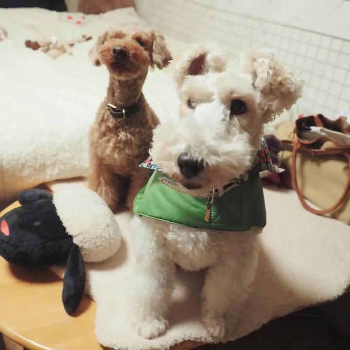 A5a2842b b75e 4961 b34a 98acd31a2aff