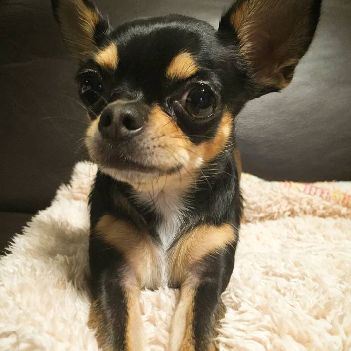 A5a2aacd 81c1 4451 ba4e cfa001d043e8