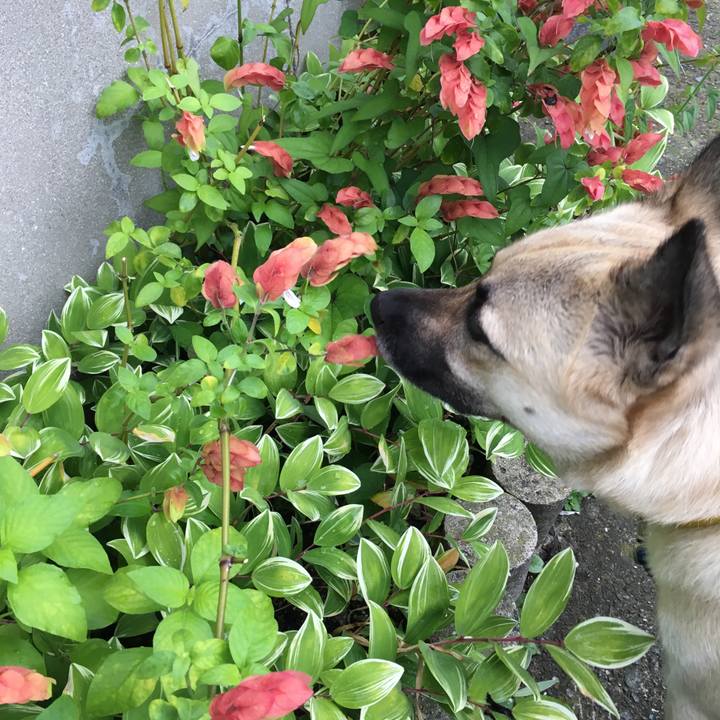 A5a2bd32 718c 44c7 bce3 1298ee67deb0