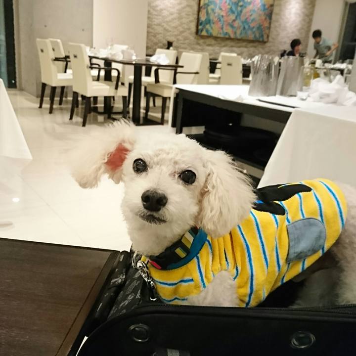 A5a42ddc 4ffe 49bc 88c5 0c9993e7db1e