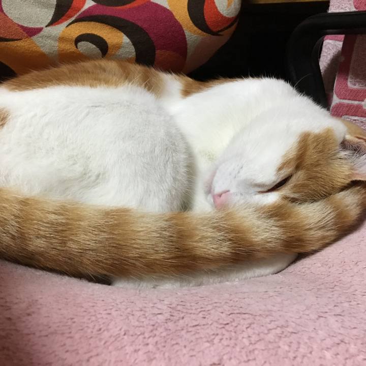 A5a4301b e1bb 4076 8f21 0825198b0ef8