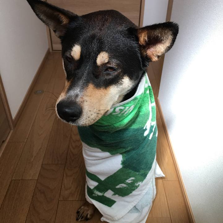 A5a4445d d5b3 46fa 9422 380b86f29fa9