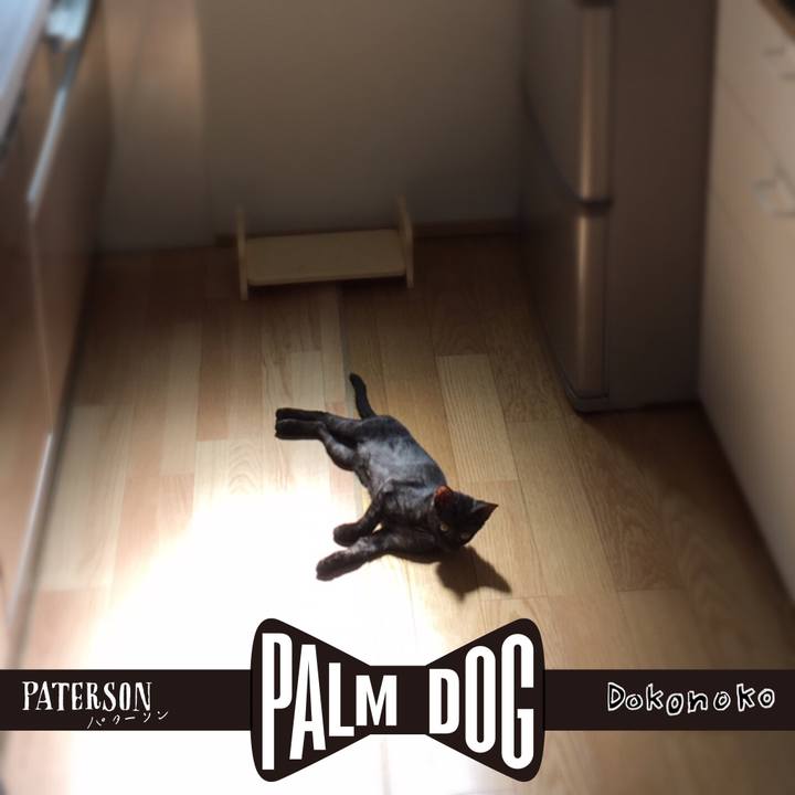 A5a44988 1bd6 43c9 a79d 70cf086cf816