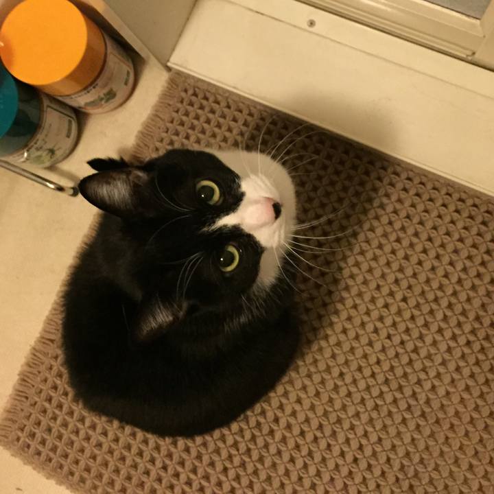 A5a51d53 6536 4167 869e 91ac045ee641