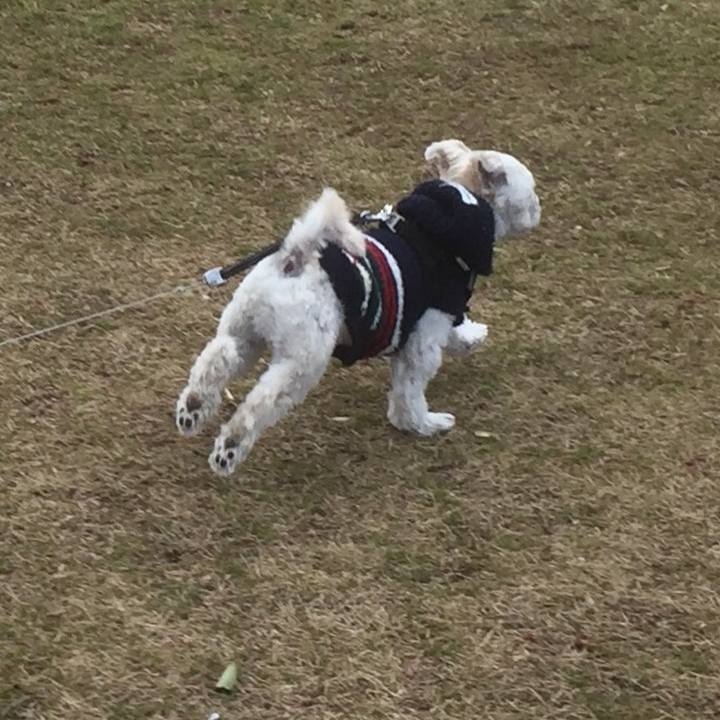 A5a55be1 e321 4c9c 9254 b3f1edb23577