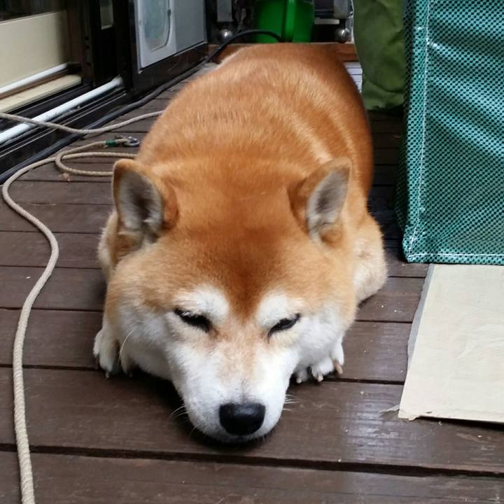 A5a59b31 f25e 4594 b136 5cf219c331c8