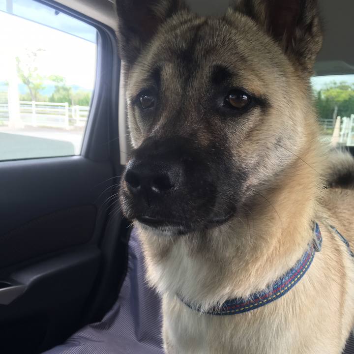 A5a5e301 d626 4205 8468 96863c3726a5