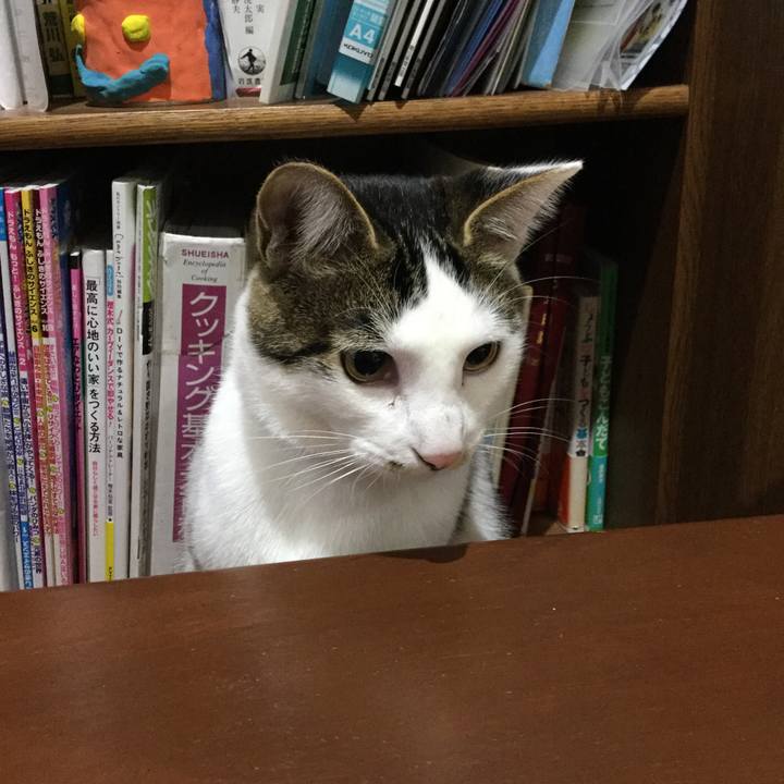 A5a6b8cb 185a 4f9b a12a 6bddf506442b