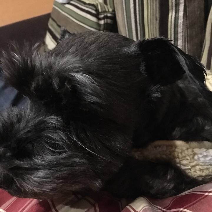 A5a79168 7cbb 4f77 b5e3 1c88a5ee403e