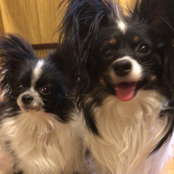 A5a80bc5 6072 4e50 b663 f89221d4ac69