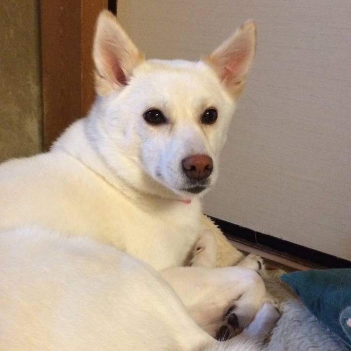 A5a872a1 d775 406b 9fd9 006a08c7504a