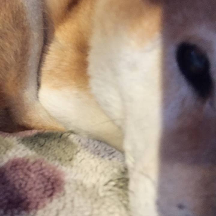 A5a8c0c5 f74c 42f0 b298 65c9896442b1