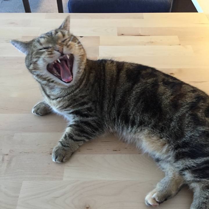 A5a8ddbd de83 4b78 865c 3214ea34b904