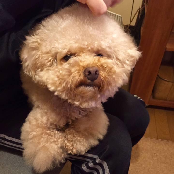 A5a93356 4979 4b96 bbcd 76473be8394b