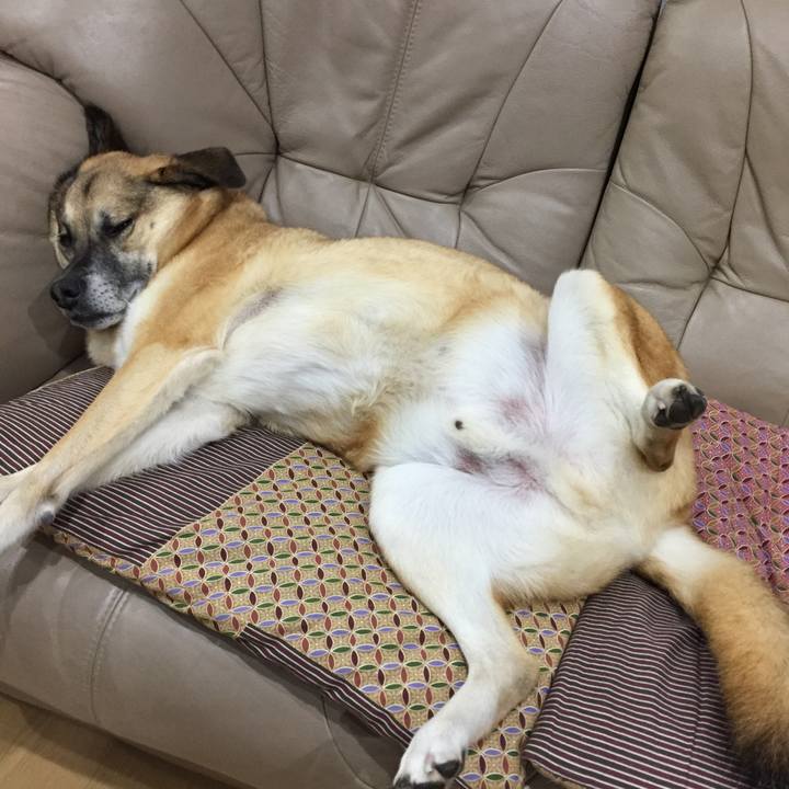 A5a94099 e95b 4e63 ad29 6895086130f0