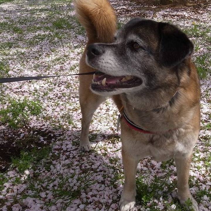 A5a9e5ef f435 4f20 b16b 6525843a2717