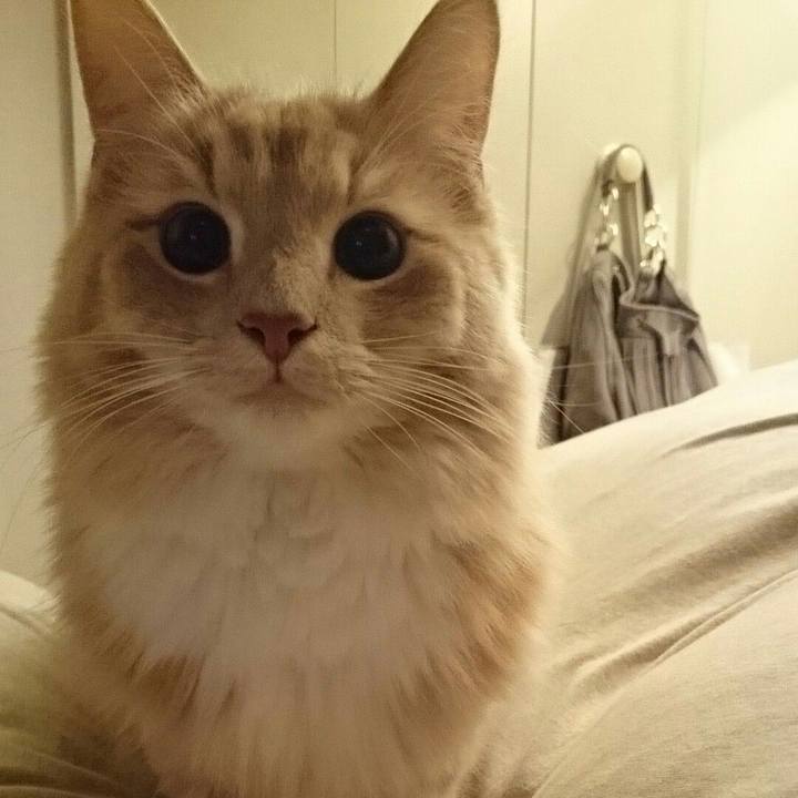 A5aa632f 1ab3 4b96 90eb ead1c26171b7