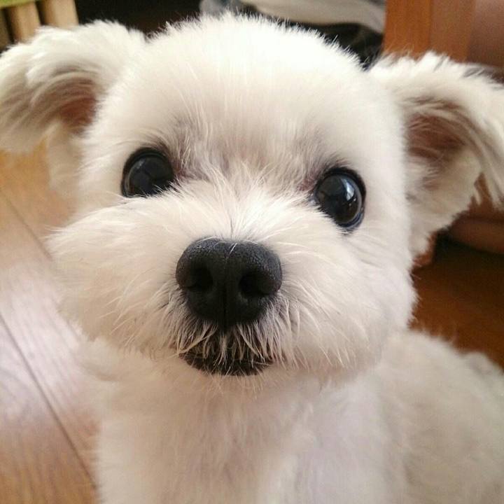 A5aa6e8d 5b04 4d3b 90d3 60a9f73a0596