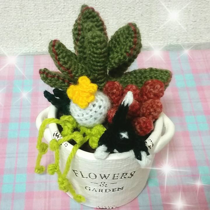 A5aac667 ab4d 435a 939e e1c21013c6bc