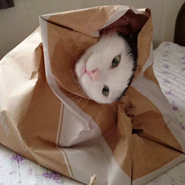 A5aaed0f a500 4c1c bff0 e634a38e7f99