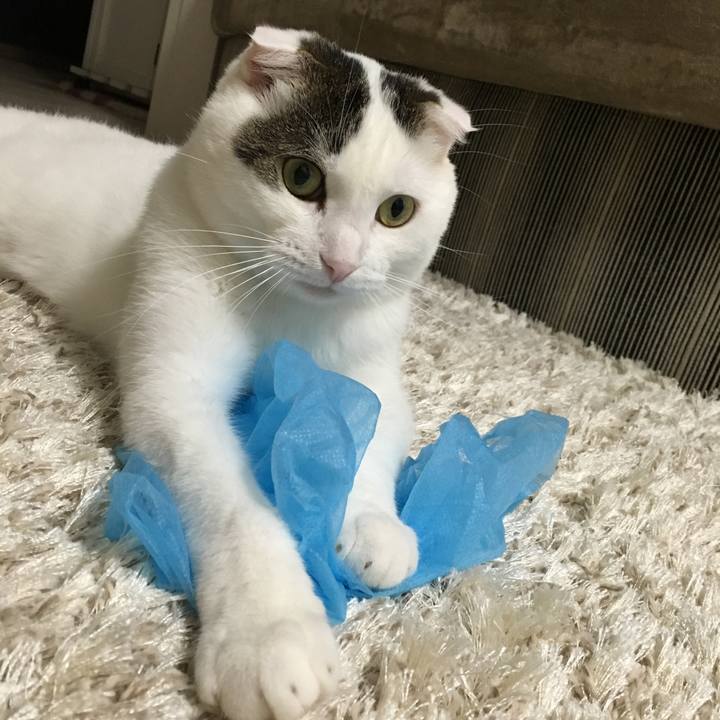 A5ac640a cb58 433a 8b1f 802ea23756ff