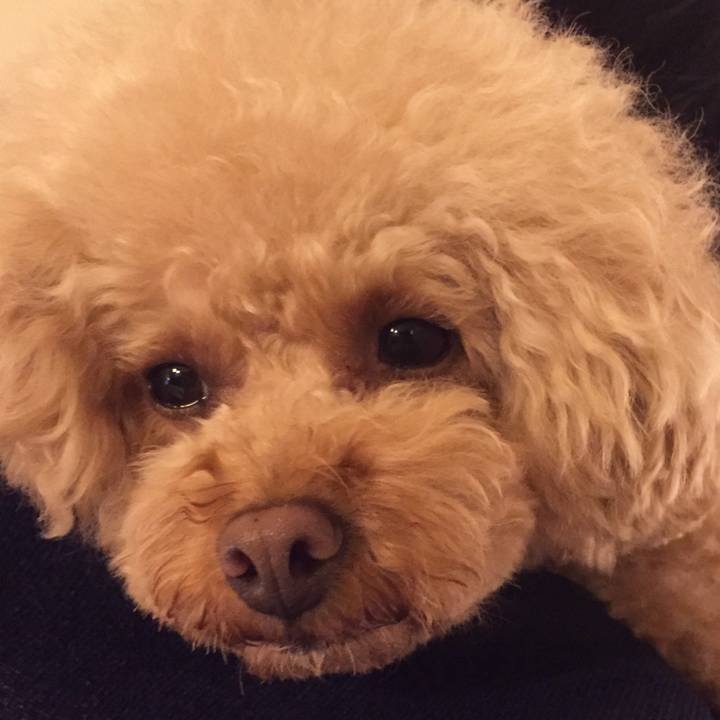 A5ac80c8 ac30 450d 8127 806b4a02dcba