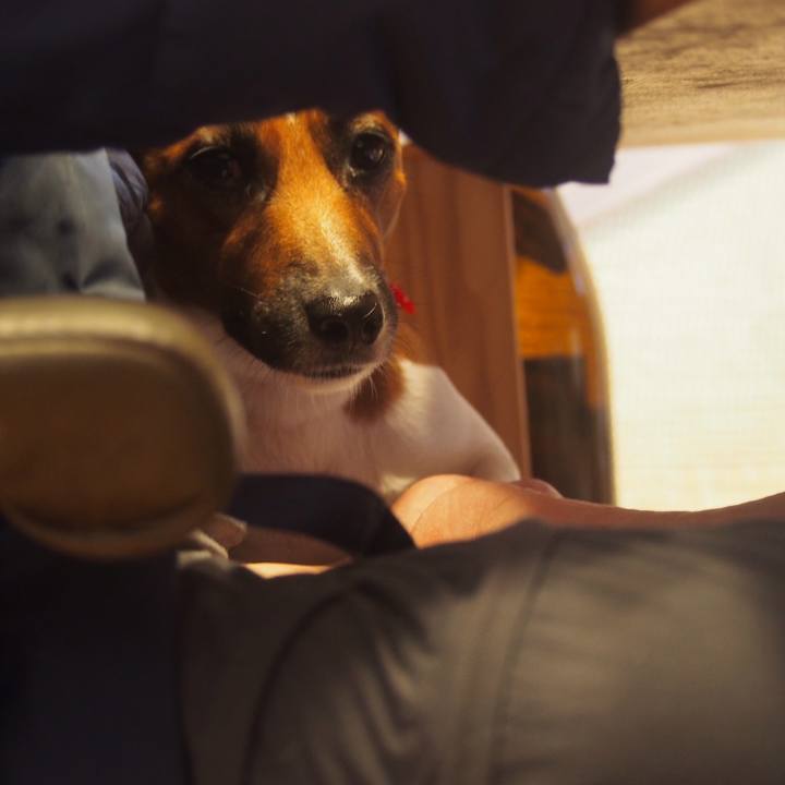 A5aca2cd 4c4b 4b7a 936f 0f853dfb70c9