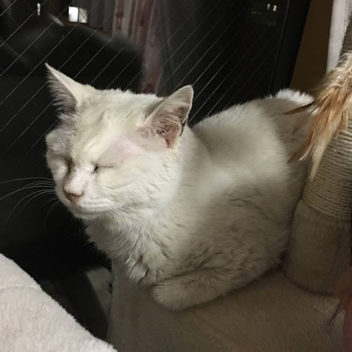 A5acbcf2 3bfc 49f7 8821 ef28d0302ca4