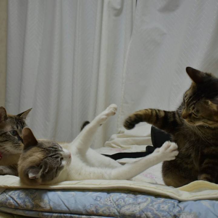 A5acde7e 8ebc 48e3 9b0f ea3dd228a7f8