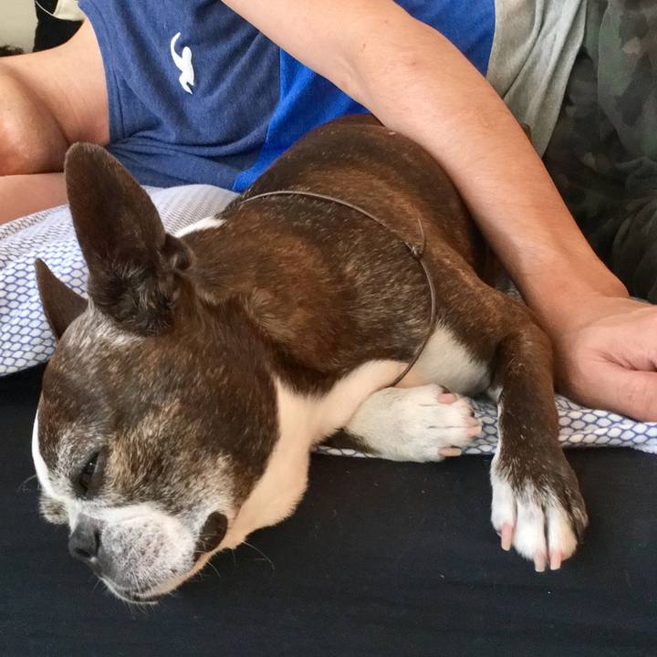 A5ad5693 eede 4649 9954 1be1f94f4a15