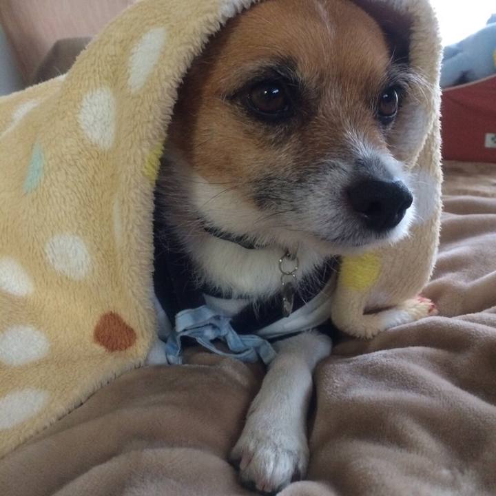 A5ae4eca d659 4528 bad5 5a138ae541dd