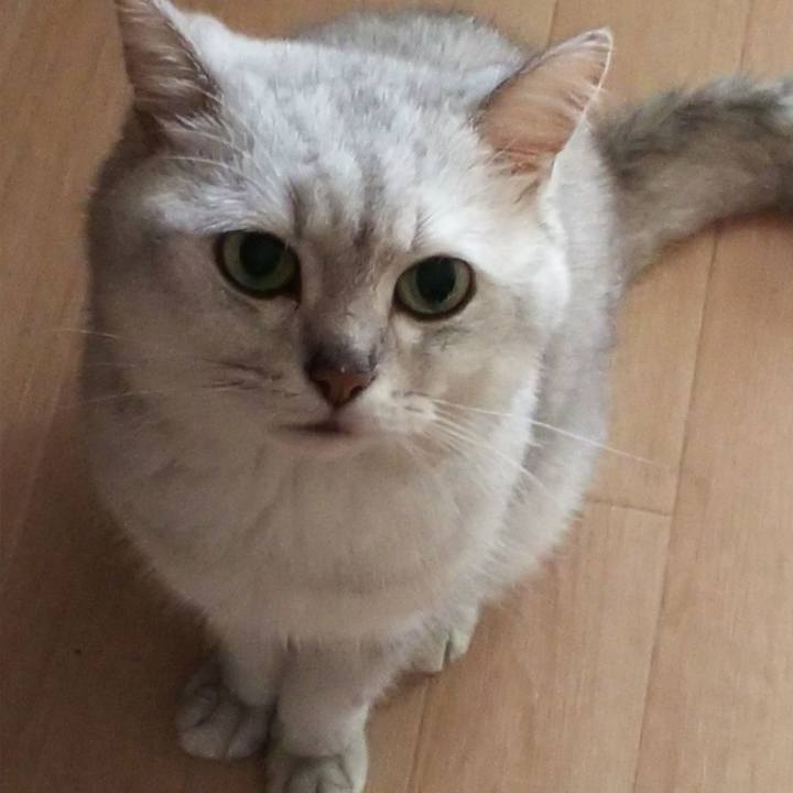 A5ae8a46 37a9 4a01 b515 1d9ddf21b27b