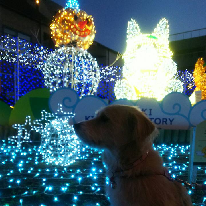 A5af70c1 2989 4432 9dcf 6b36cd50fdf7