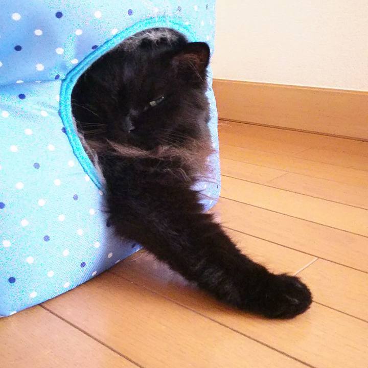 A5b04ea4 68f7 4e92 adfd a2c50c2d4667