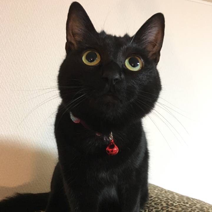 A5b053b7 bd96 42bf bbef 2e1c8fc29f2a