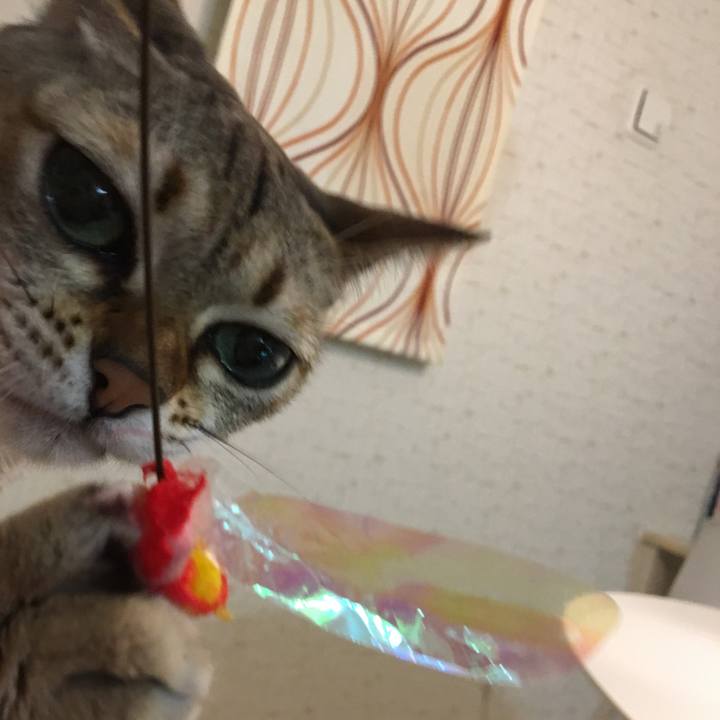 A5b05ee5 112f 449a 9da7 461684ab2c86