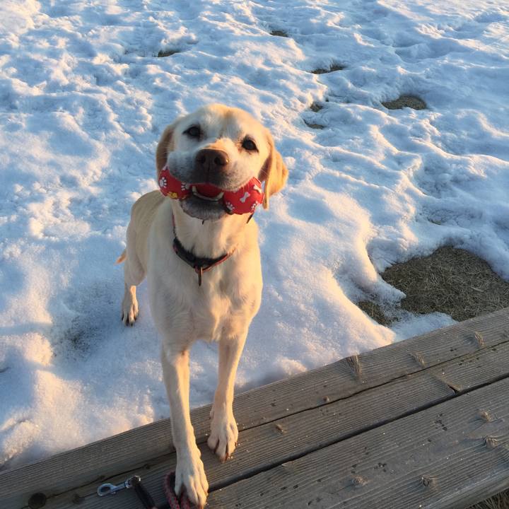 A5b077b4 5c6d 4d35 900f 0b76dc277139