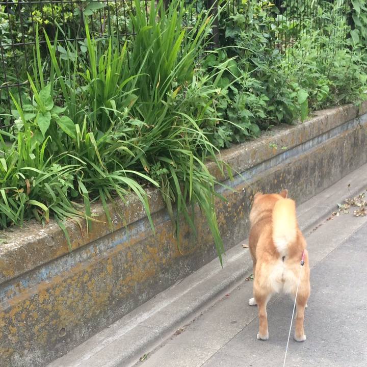 A5b0bc34 8084 49f3 9355 f3bc79a8e5e3