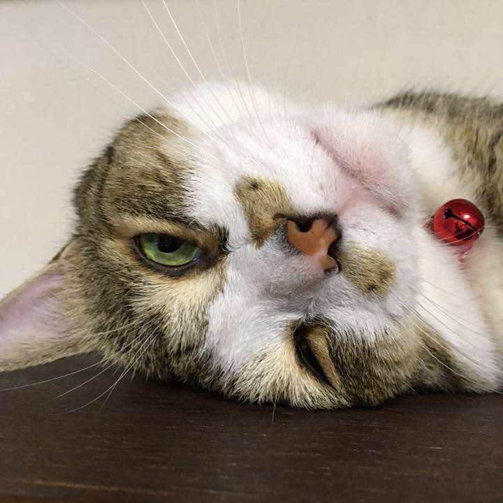 A5b0f16f a55f 4078 88e2 617cea681493