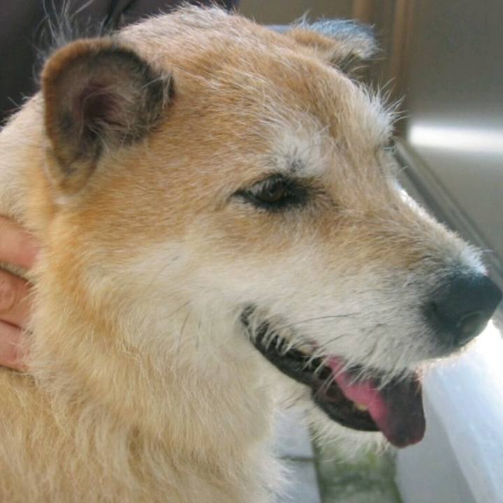 A5b12304 f3f4 4fb4 a34d 04c4cc188da5