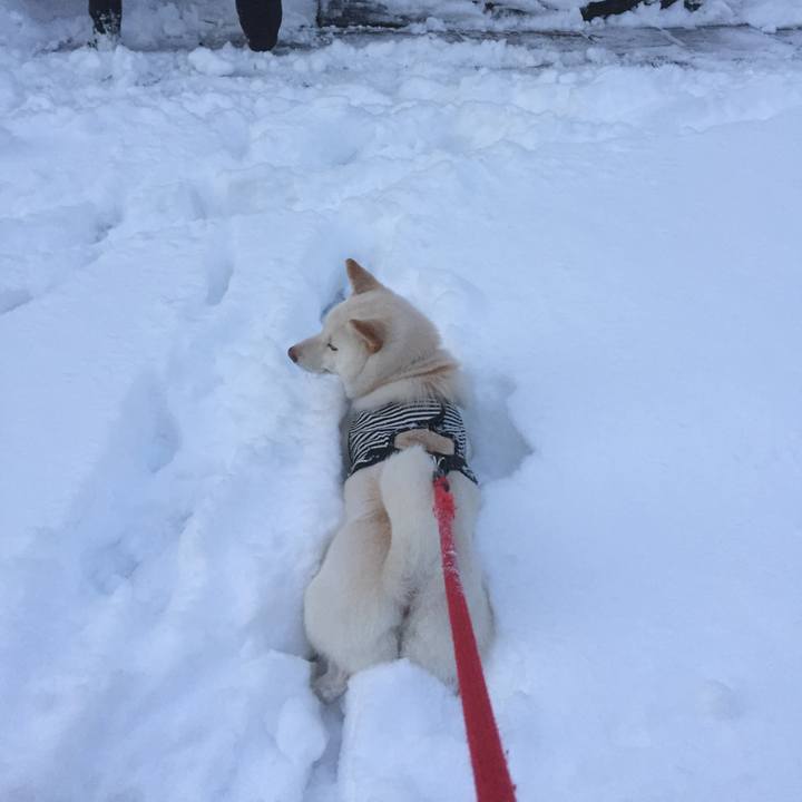 A5b19c9a fcfd 4fa0 b77c f53ed6ccdbe3