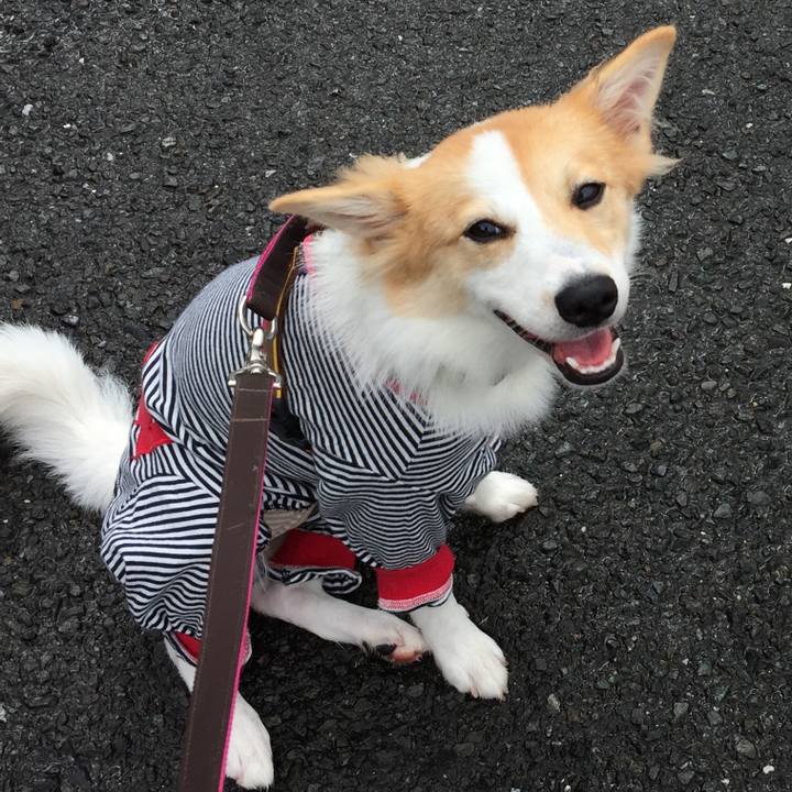 A5b1a33c bd5e 4cdf 9b52 17648964e27f