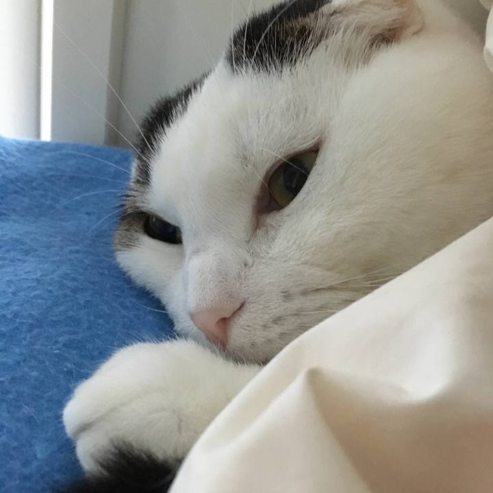 A5b1dc5e 9b28 4e5e bcc2 a5c338a57563