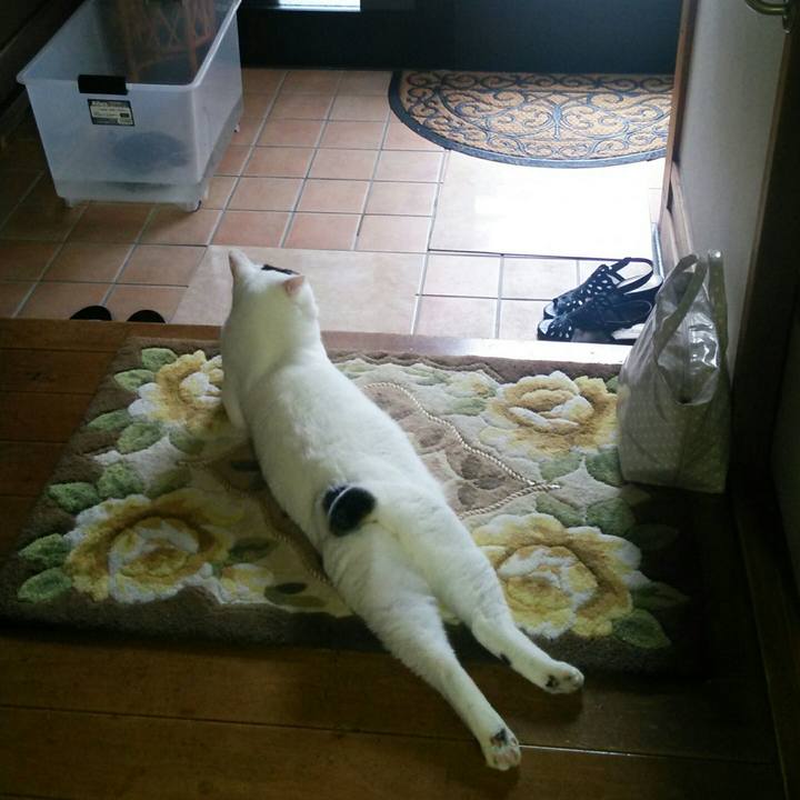 A5b2ce15 80a6 47c8 bc63 de0bca71f076