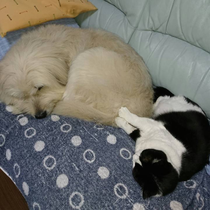 A5b316a8 879b 4dc3 b48b 696834f0fc61