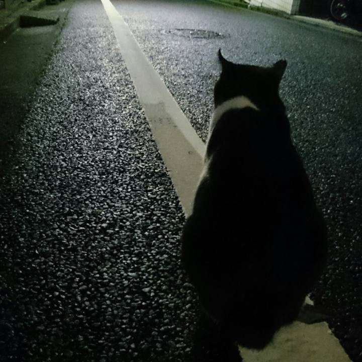 A5b3287b d957 4e74 8317 5863bc1bb5db