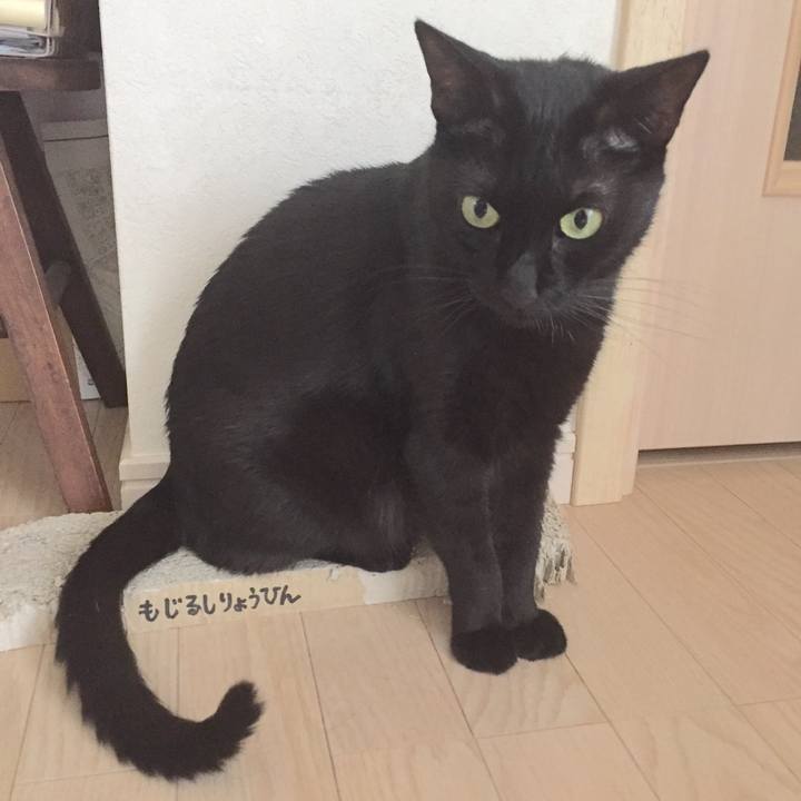 A5b35963 eb52 459d a69f bf71b09ddccc