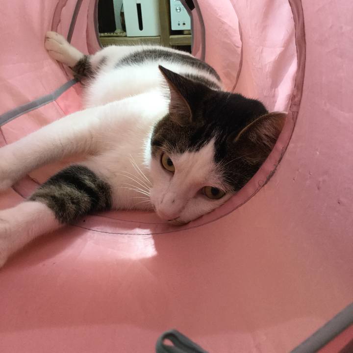 A5b37533 7533 4b87 817f c9961ad2ab45